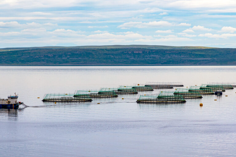 A salmon farm in Bugoynes, Finnmark, Norway.