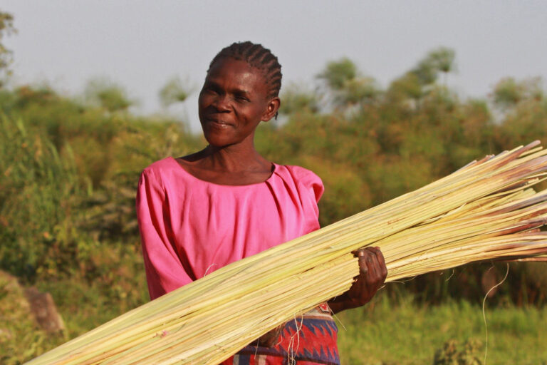 Sarah Oginga harvesting papyrus reeds.