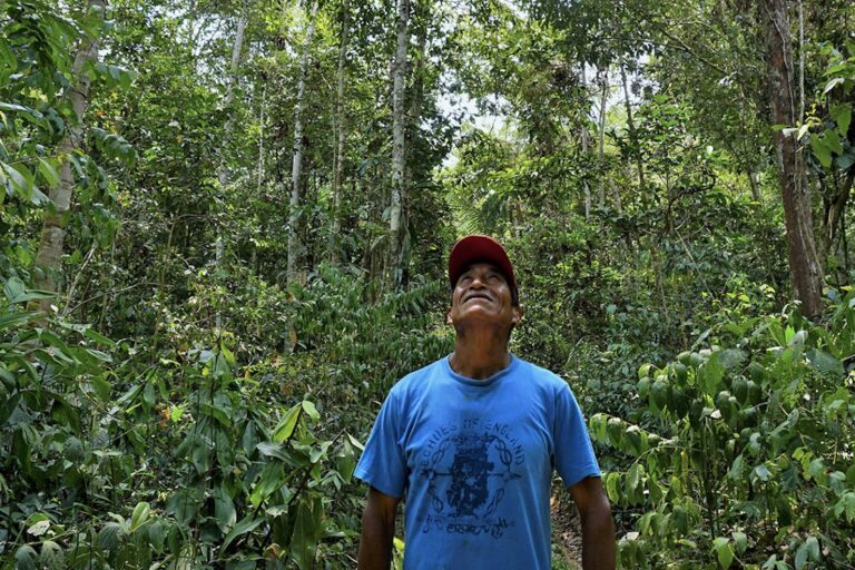 Melquiades, a Brazil nut producer in the Amazon rainforest. Image by Yoly Gutierrez/CIFOR via Flickr (CC BY-NC-ND 2.0).