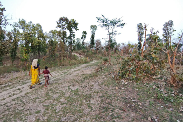 India’s new forest rules spark dismay — and hope: Q&A with activist Soumitra Ghosh