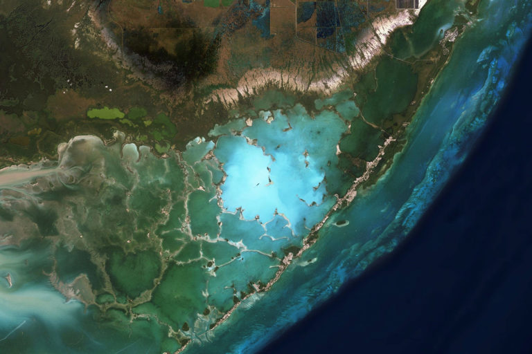 Satellite image of a portion of Everglades National Park in Florida. Courtesy of Zoom.Earth