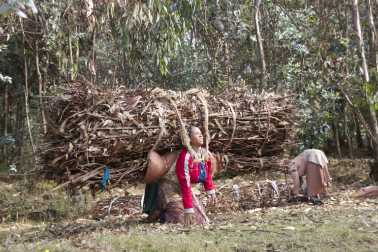 Approximately 90 percent of the workforce in this back-breaking trade of carrying fuelwood this way is women. Photo by Christopher Lett/Mongabay.