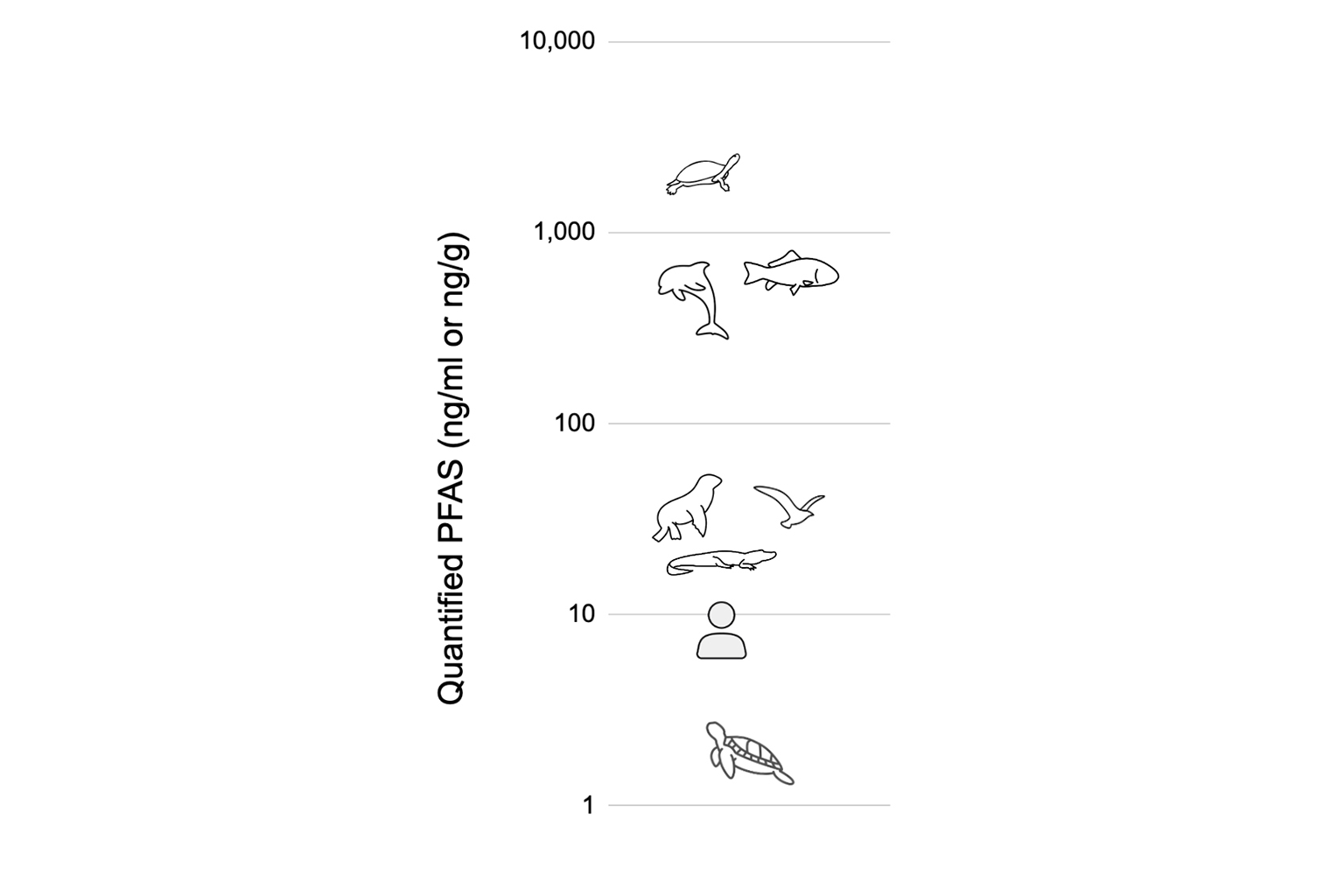 Concentration of PFAS in animals in studies documenting health impacts.